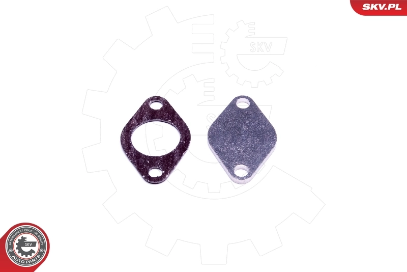 ESEN SKV 14SKV542 Repair Set, EGR valve