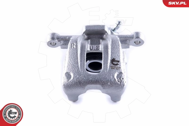 Brake Caliper 55SKV234