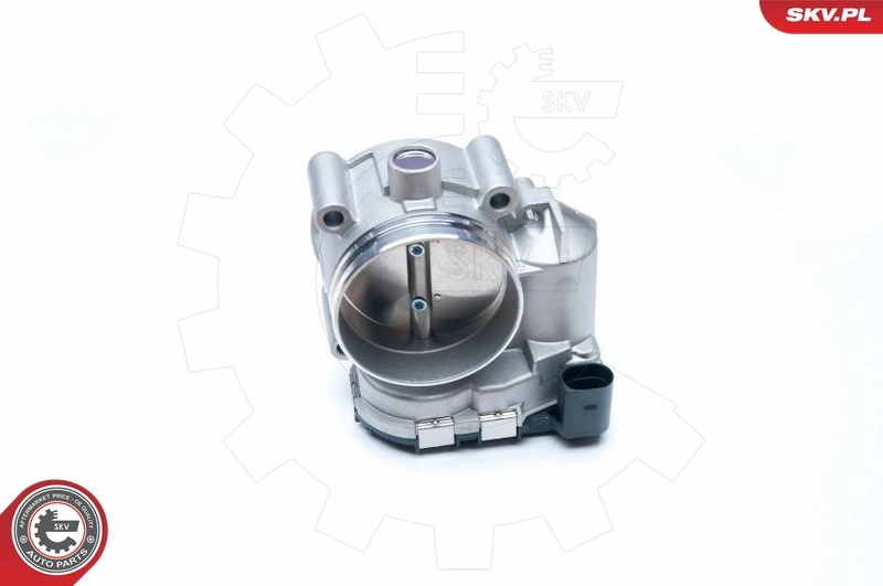 Throttle Body 12SKV052