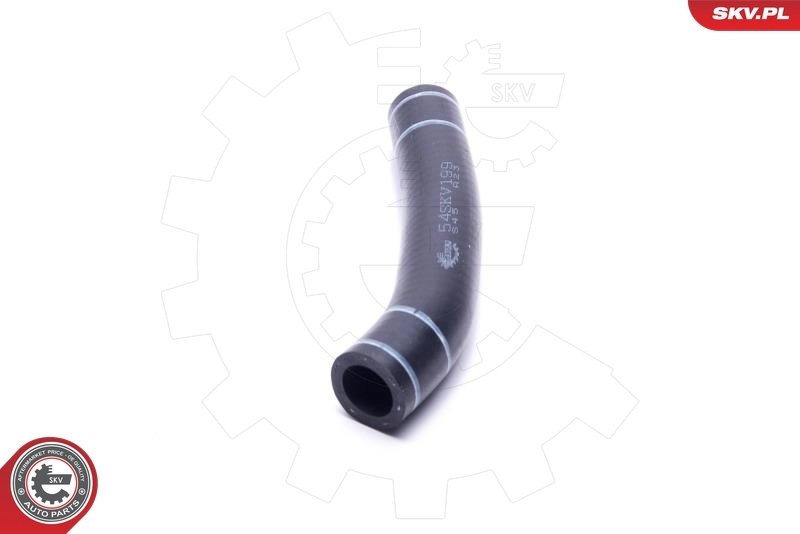 ESEN SKV 54SKV199 Oil Pipe, charger