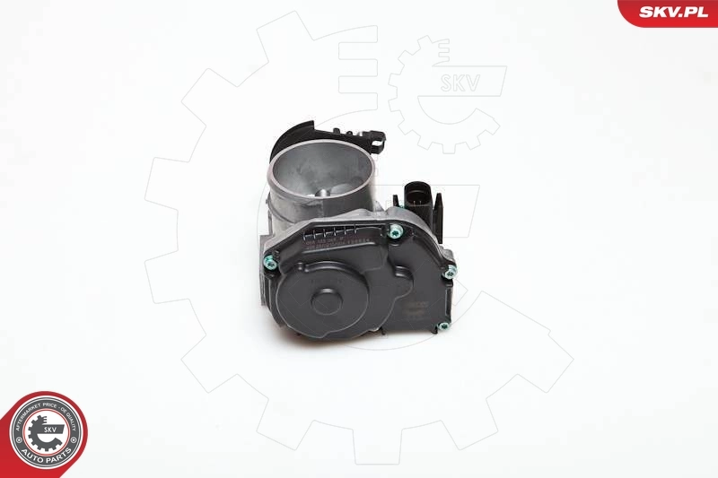 Throttle Body 12SKV007