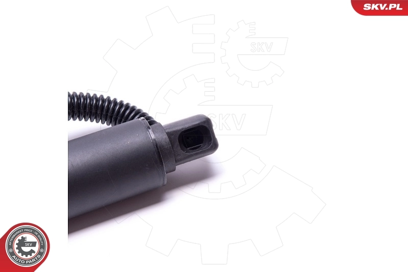 ESEN SKV 52SKV905 Electric Motor, tailgate