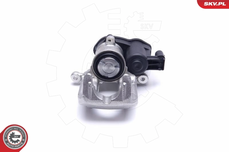 Brake Caliper 55SKV424