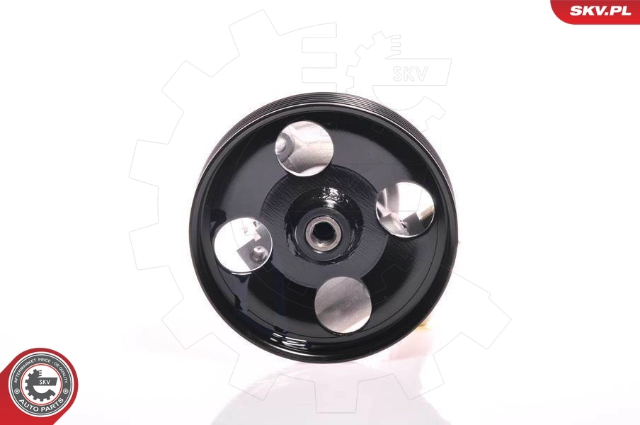 Hydraulic Pump, steering 10SKV156