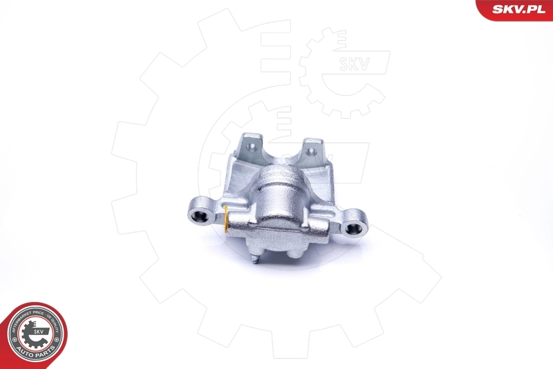 Brake Caliper 42SKV423