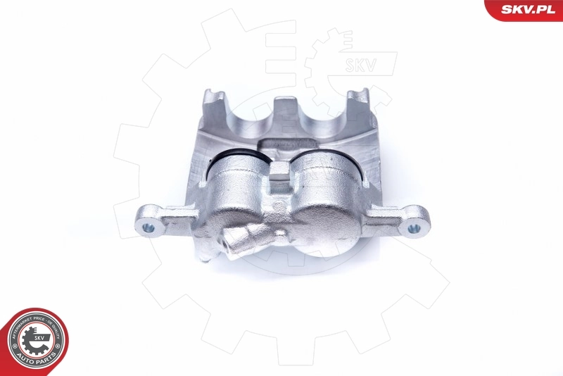 Brake Caliper 23SKV206
