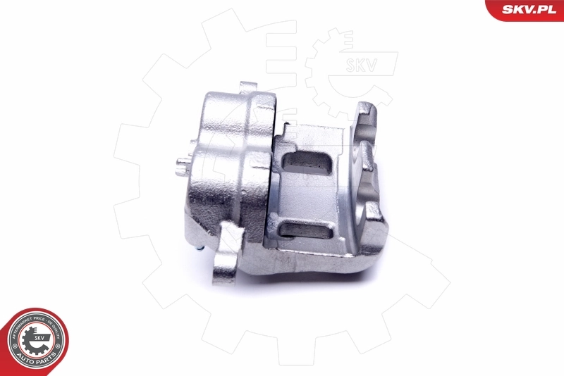Brake Caliper 46SKV621