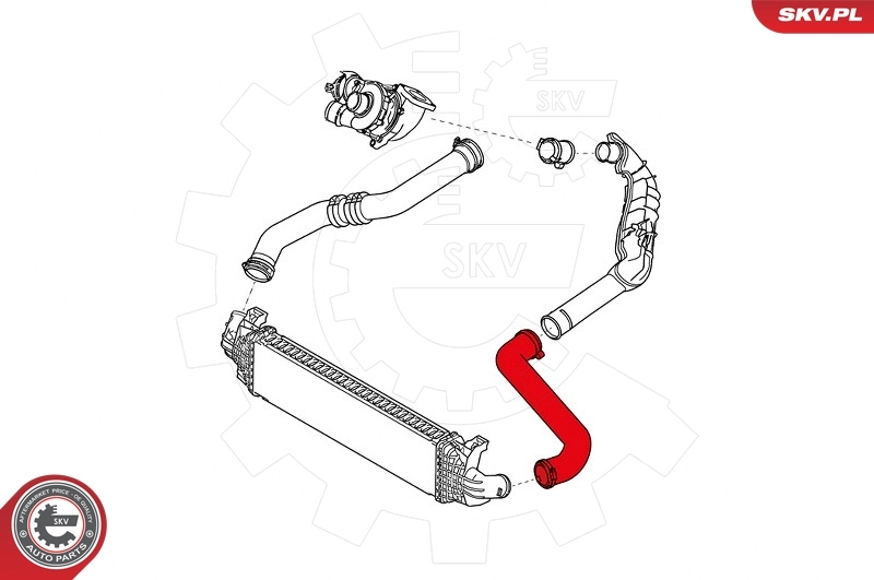 Charge Air Hose 24SKV766