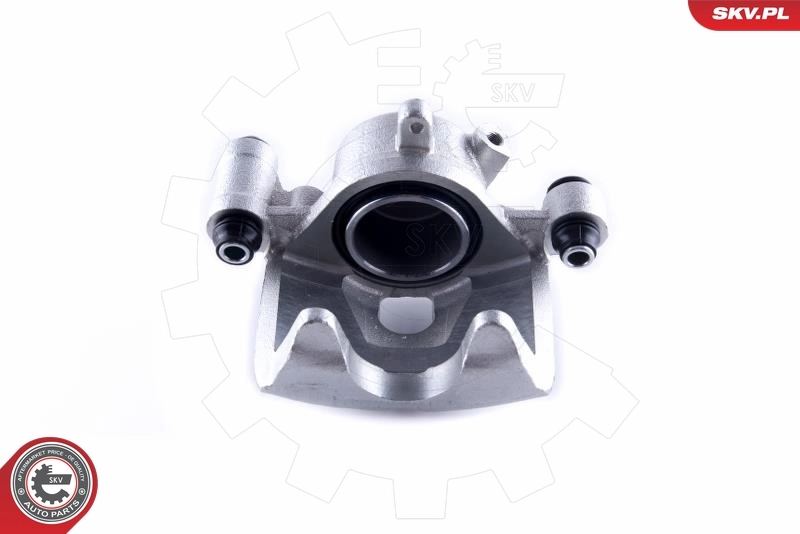 Brake Caliper 50SKV792