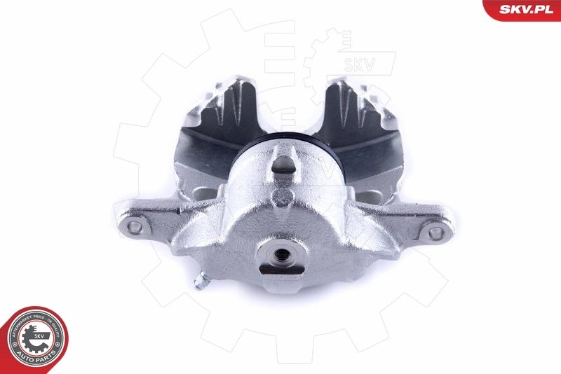 Brake Caliper 55SKV172
