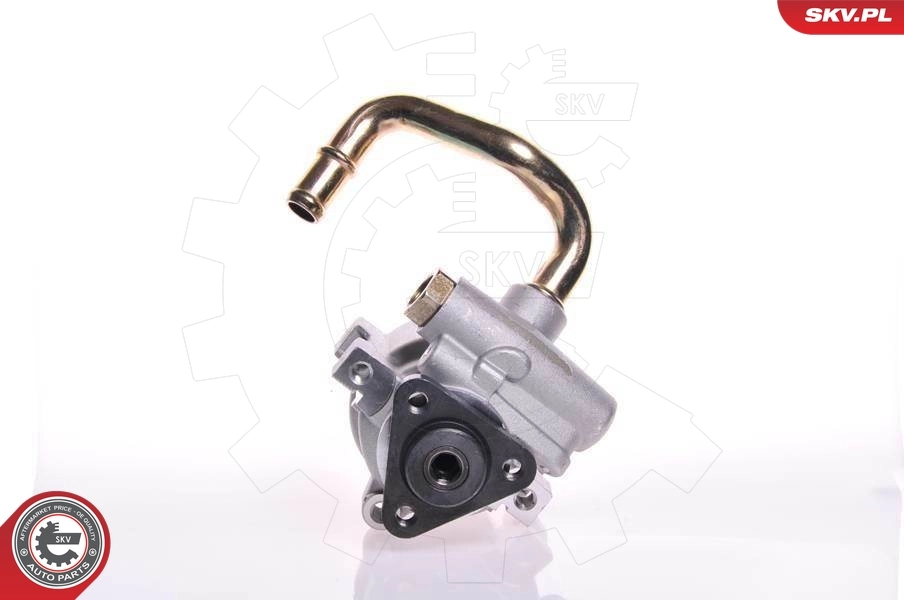 Hydraulic Pump, steering 10SKV149