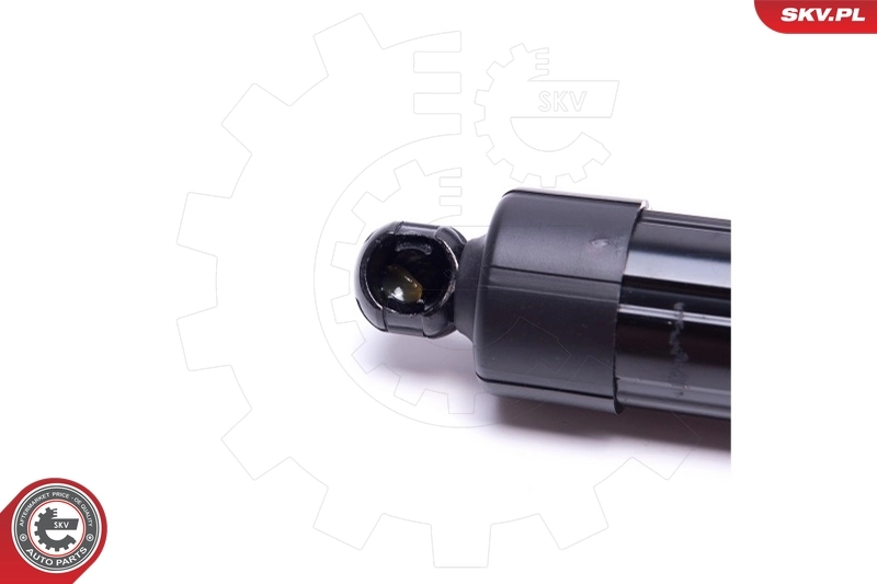 Electric Motor, tailgate 52SKV920