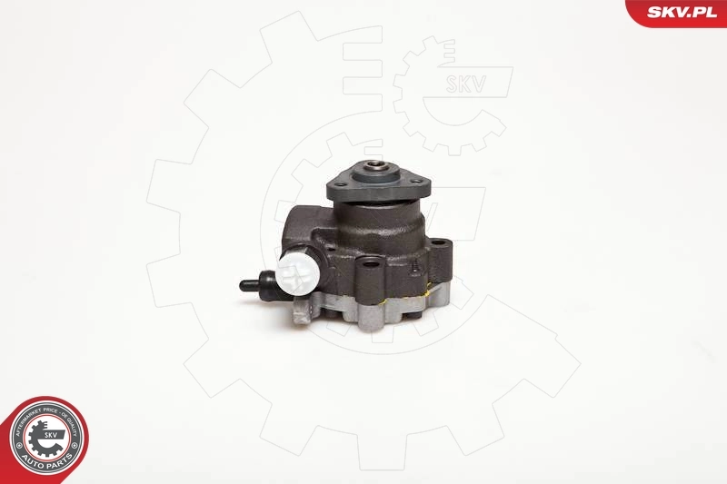 Hydraulic Pump, steering 10SKV095