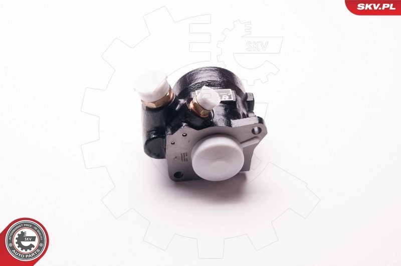 ESEN SKV 1SKV0003 Hydraulic Pump, steering