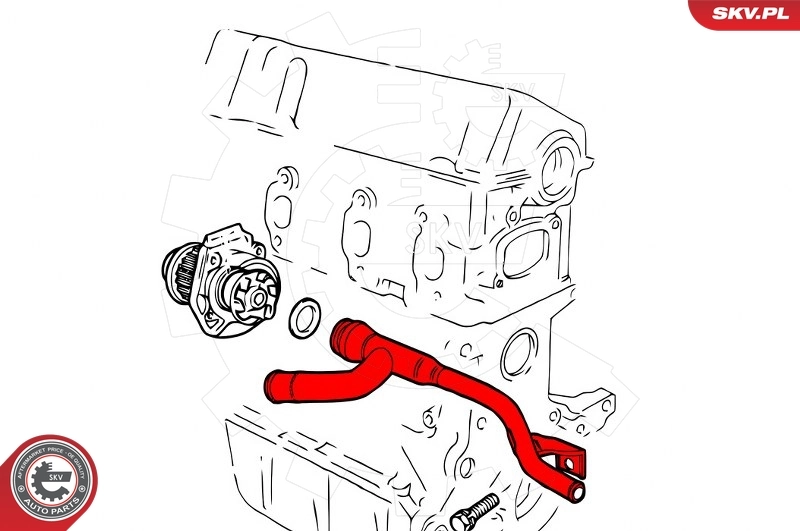 Coolant Pipe 43SKV770