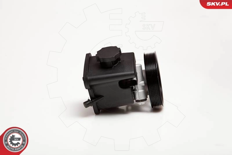 Hydraulic Pump, steering 10SKV029