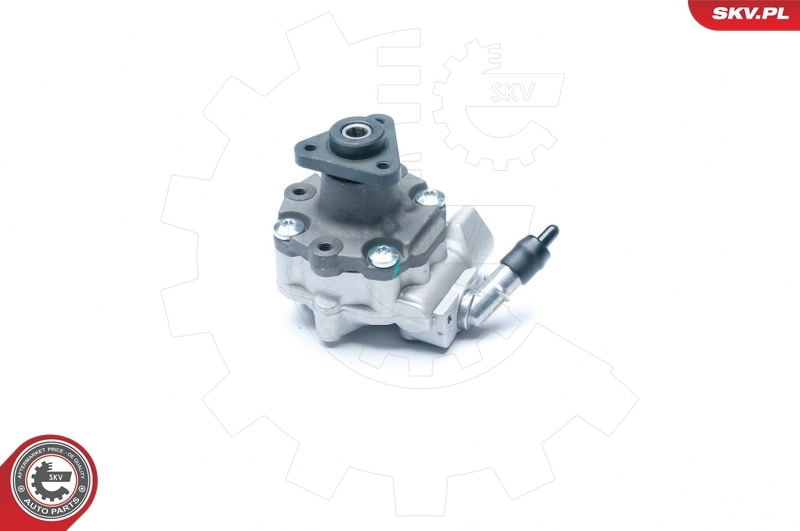 Hydraulic Pump, steering 10SKV184