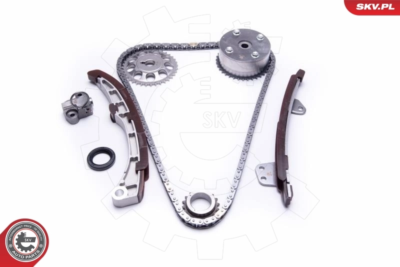 Timing Chain Kit 21SKV185