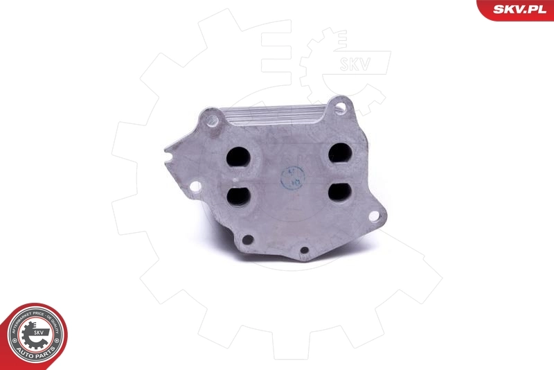 Oil Cooler, engine oil 31SKV230