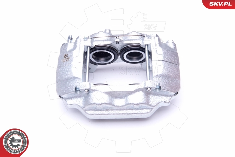 Brake Caliper 42SKV831