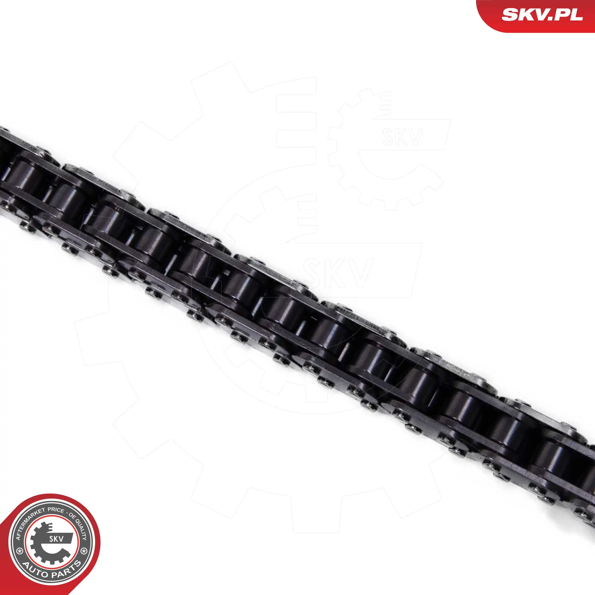 Timing Chain Kit 21SKV266