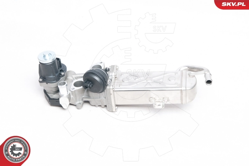 EGR Valve 14SKV094