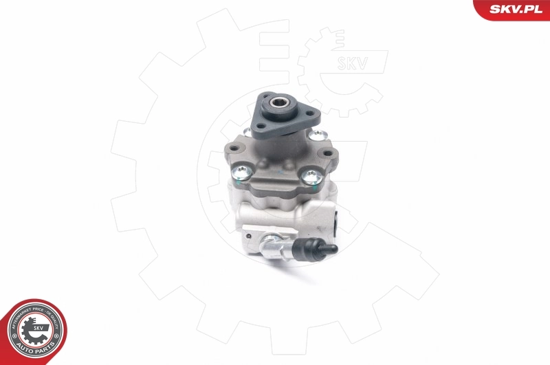 Hydraulic Pump, steering 10SKV187