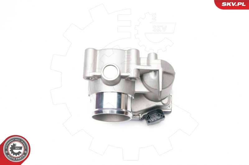 ESEN SKV 12SKV041 Throttle Body
