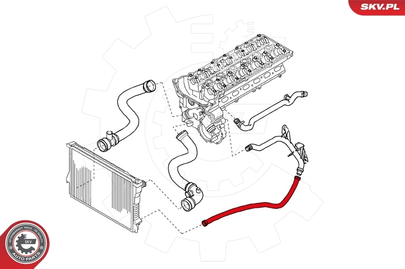 Radiator Hose 24SKV203