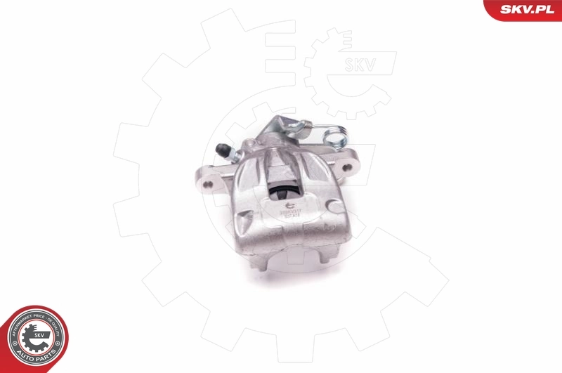Brake Caliper 23SKV317