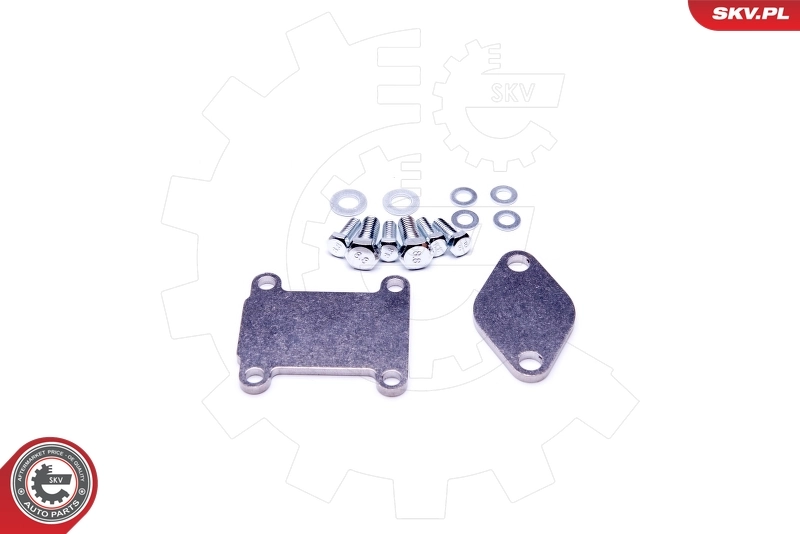 ESEN SKV 14SKV502 Repair Set, EGR valve
