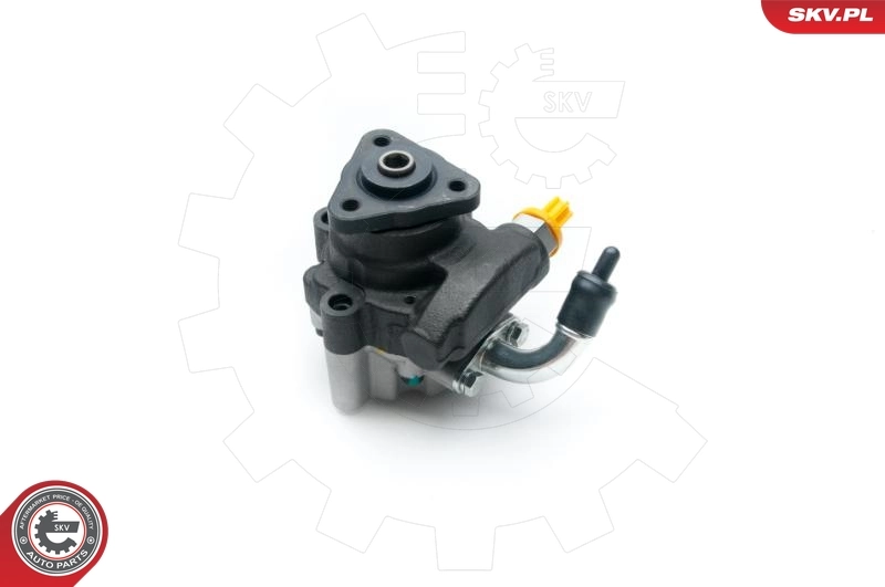 Hydraulic Pump, steering 10SKV191