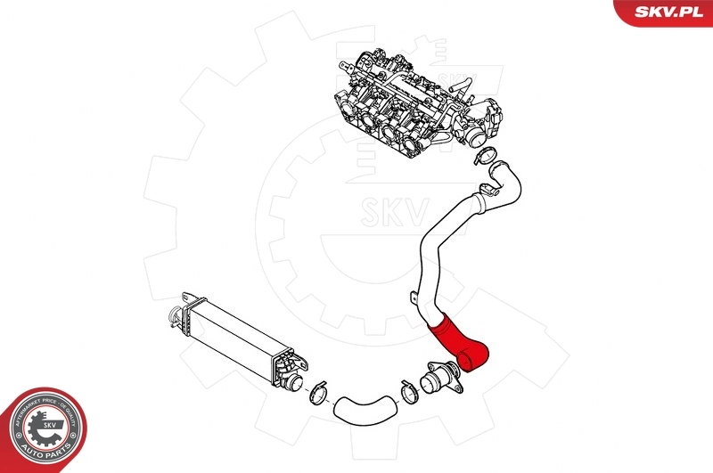 Charge Air Hose 24SKV891