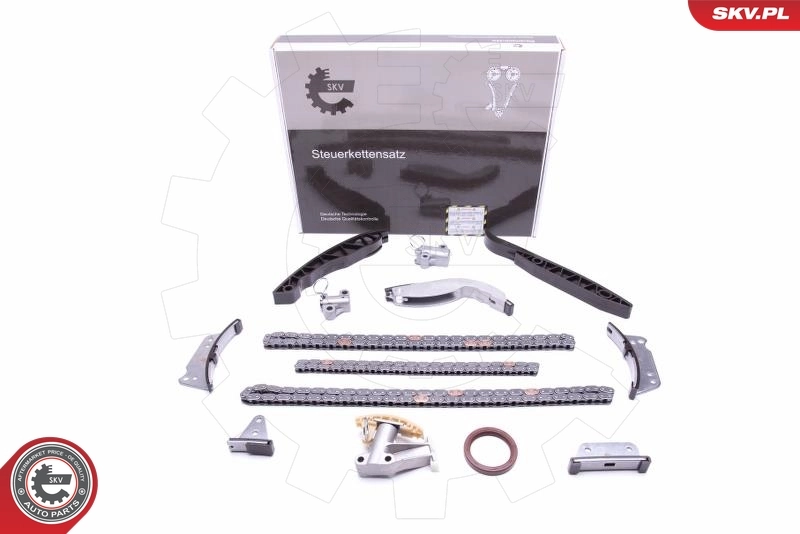 Timing Chain Kit 21SKV223