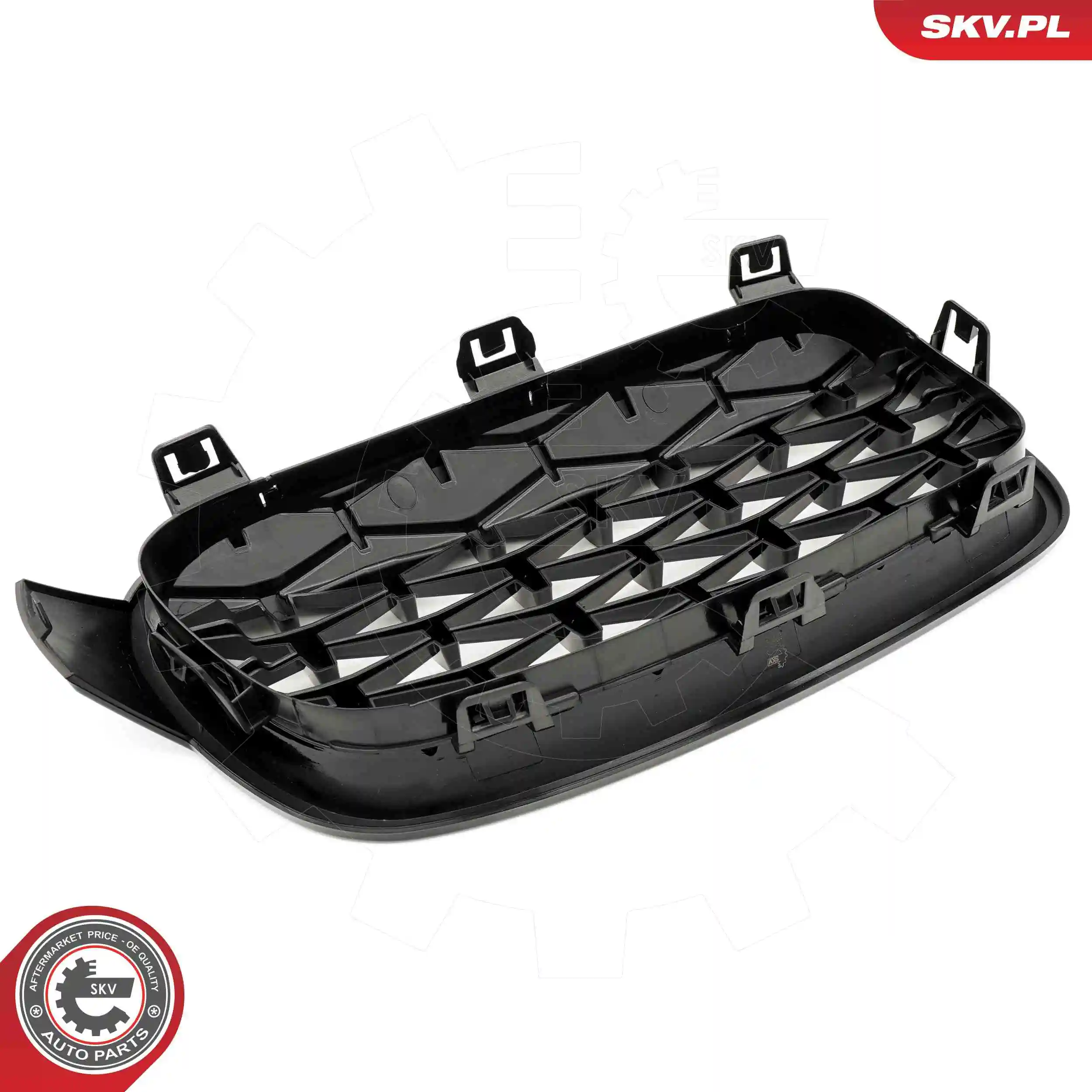 Radiator Grille 66SKV129