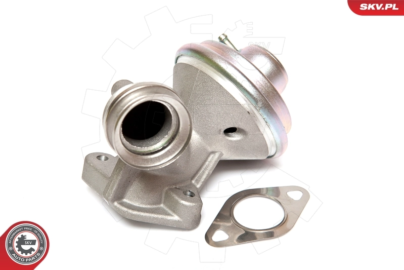 EGR Valve 14SKV075