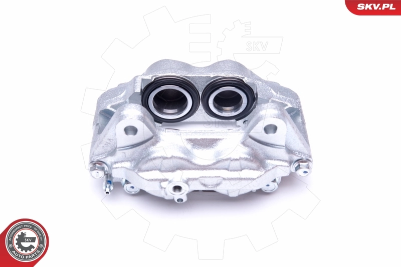 Brake Caliper 42SKV831