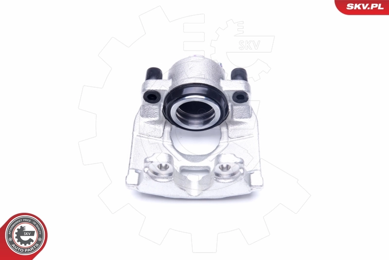 Brake Caliper 45SKV032