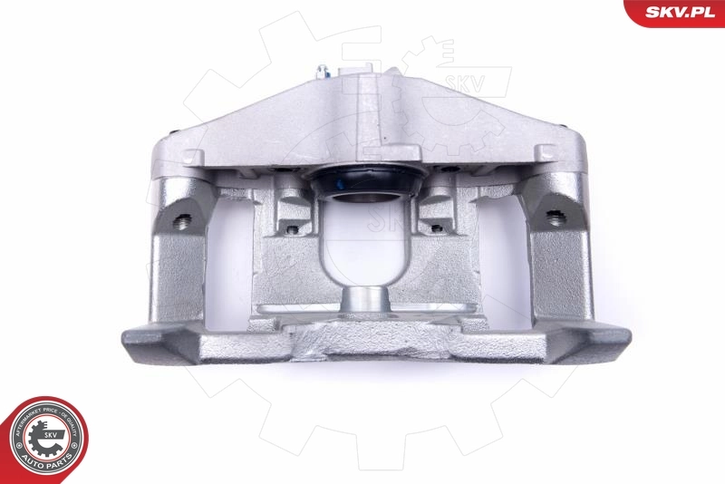 Brake Caliper 55SKV831