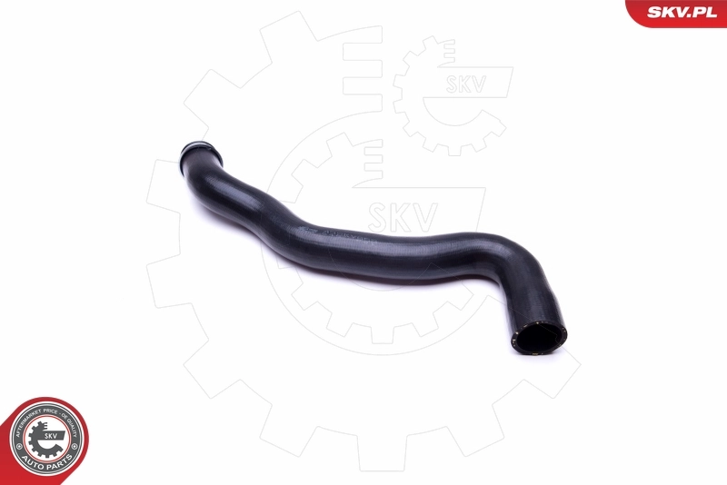 Radiator Hose 43SKV653