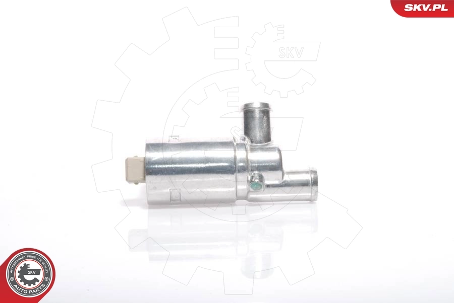 ESEN SKV 08SKV209 Idle Control Valve, air supply