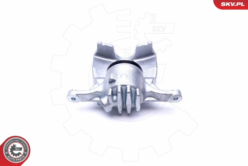 Brake Caliper 46SKV232