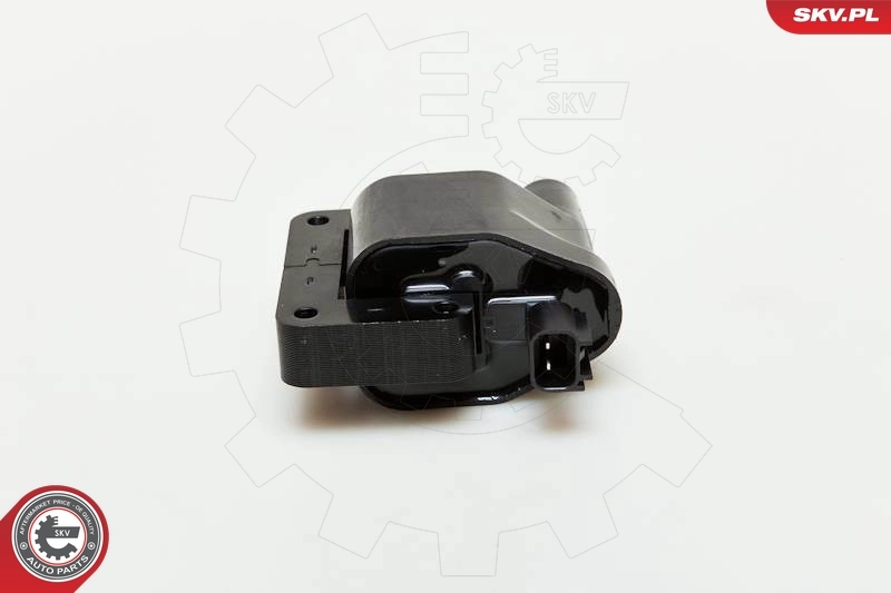 ESEN SKV 03SKV096 Ignition Coil