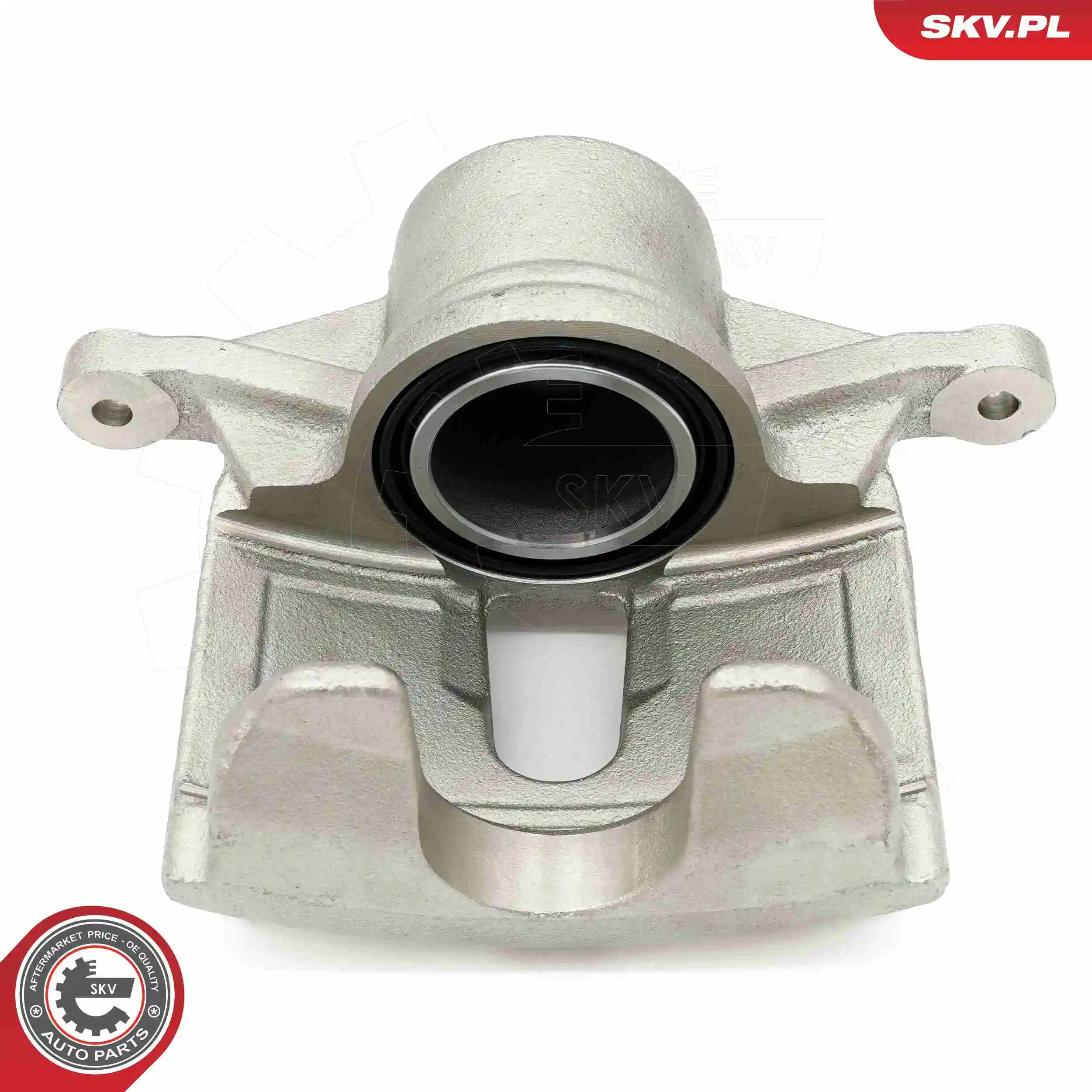 Brake Caliper 67SKV031