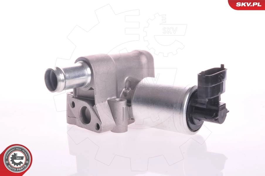 EGR Valve 14SKV003