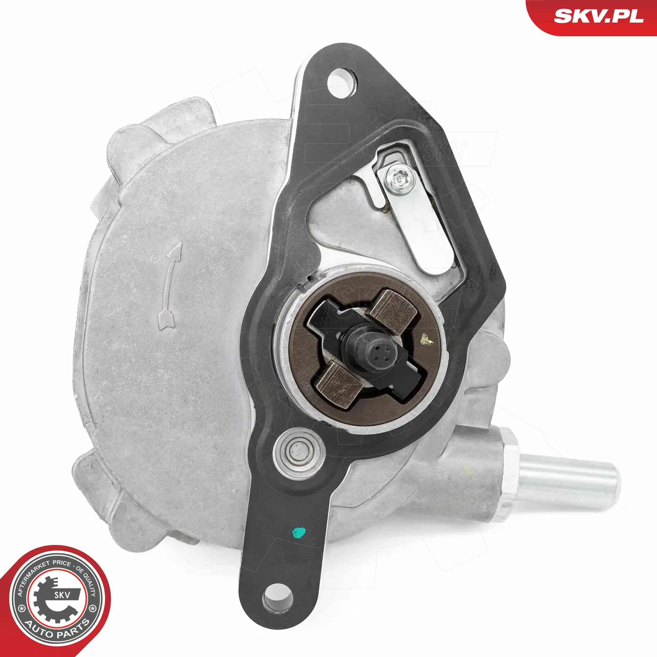 Vacuum Pump, braking system 18SKV080