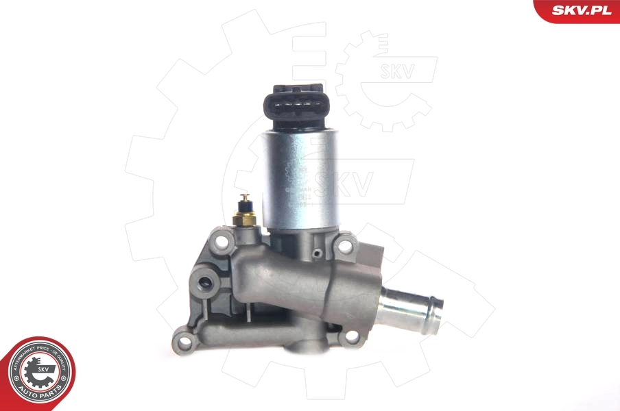 ESEN SKV 14SKV015 EGR Valve
