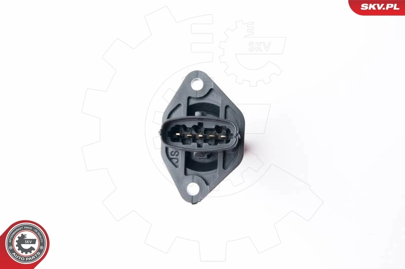 空气质量流量计 07SKV506