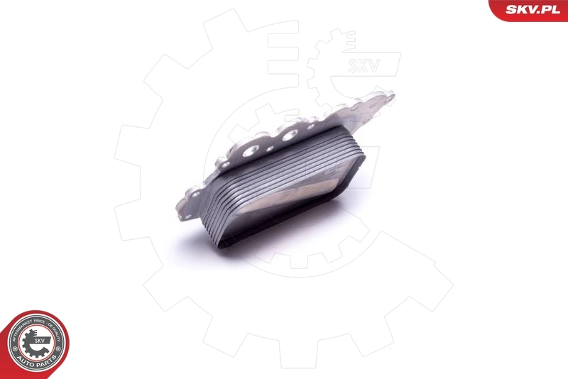 Oil Cooler, engine oil 31SKV218