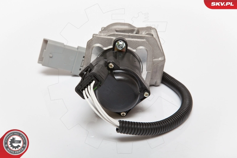 EGR Valve 14SKV071